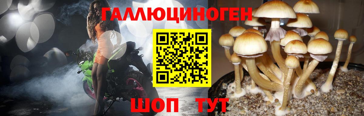 Ростов-на-Дону  Галлюциногенные грибы мухоморы  Вход с VPN  Галлюциногенные грибы Psilocybine cubensis 